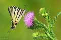 c400d_06385