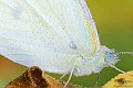 c400d_17887