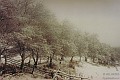k4a_000wi
